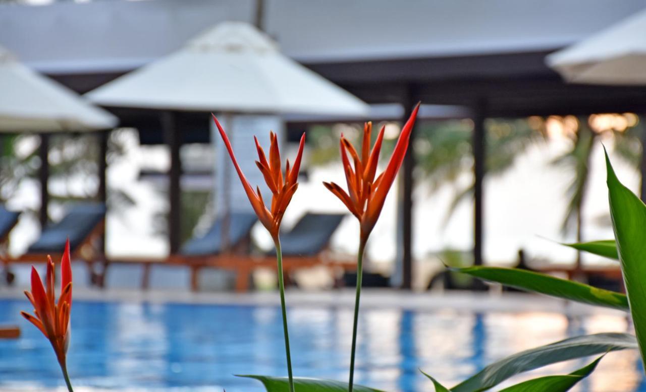 Goldi Sands Hotel Negombo Dış mekan fotoğraf
